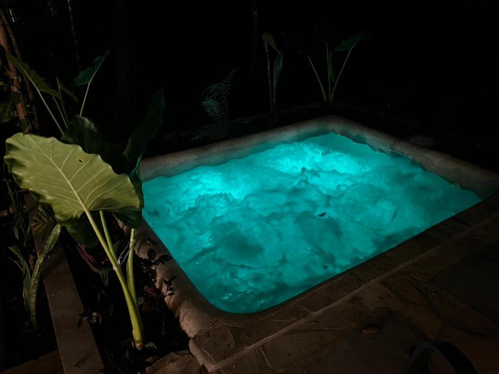 Camping De Piedra Y Bambu En La Selva Palenque